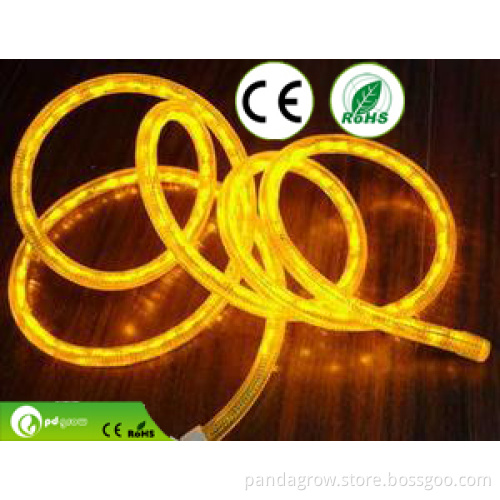 Home Decoration Remote Control RGB LED Rope Light